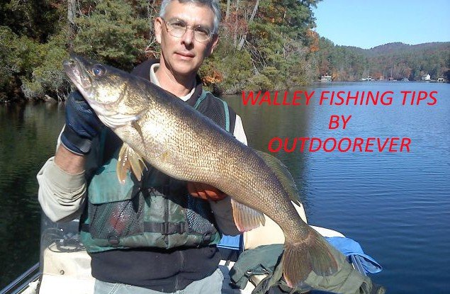 Walleye Fishing Tips