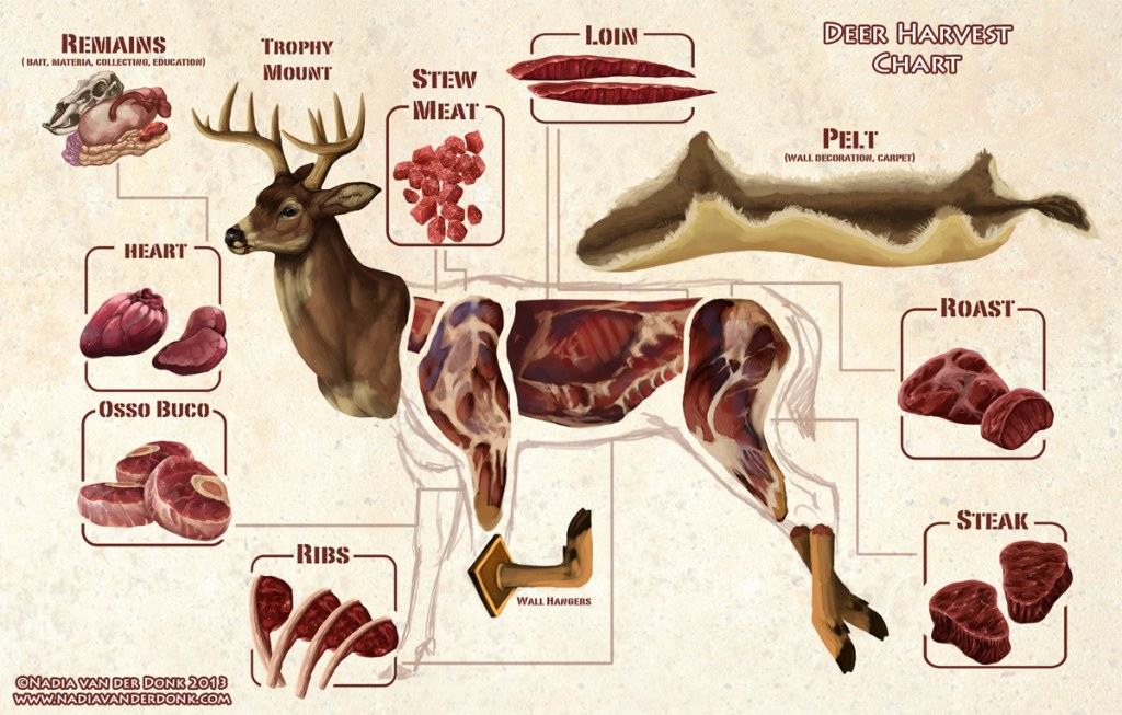 How Much Meat From A Deer