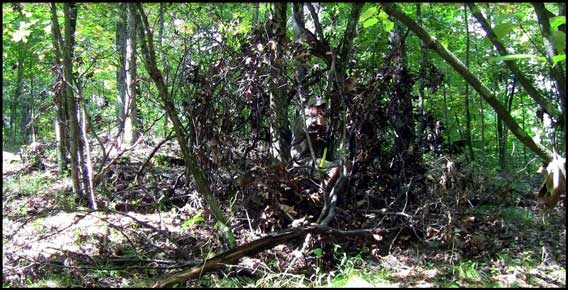 Building A Natural Ground Blind