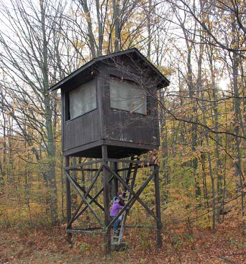 Building An Elevated Deer Blind