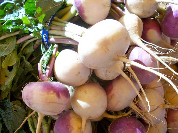 Turnips