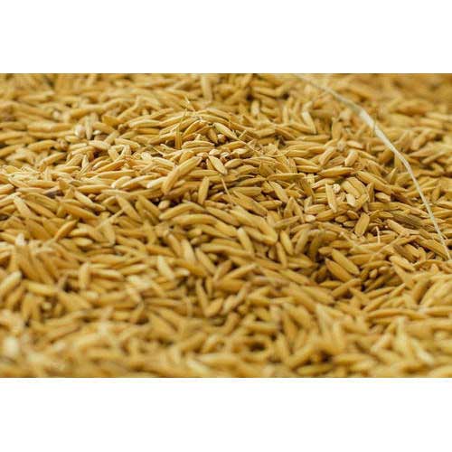 rice-bran