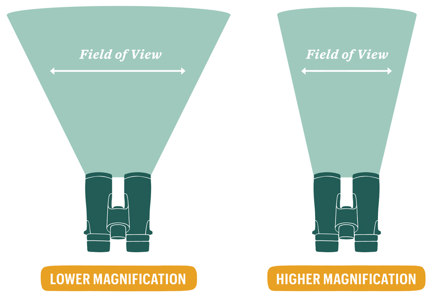 field-of-view