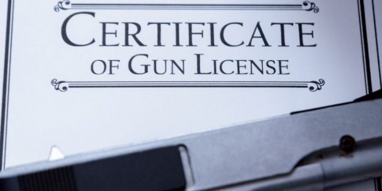 Do You Need A License For An Air Rifle? - Tarheel 3 Gun: Hunting, Gear ...