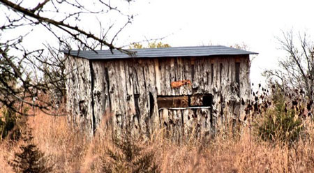 ground blind size