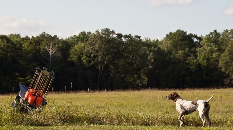 Benefits of Clay Pigeon Thrower