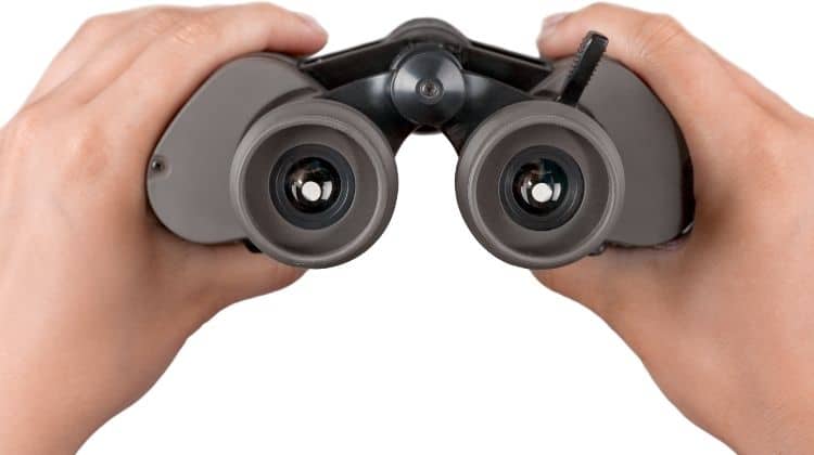 Best Cheap Binoculars