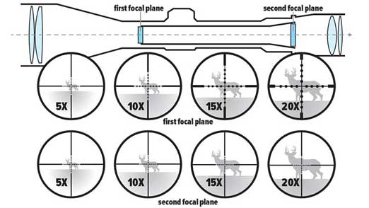 focal plane