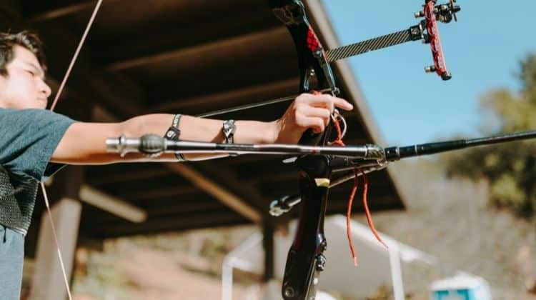 best compound bow under 500 dollars