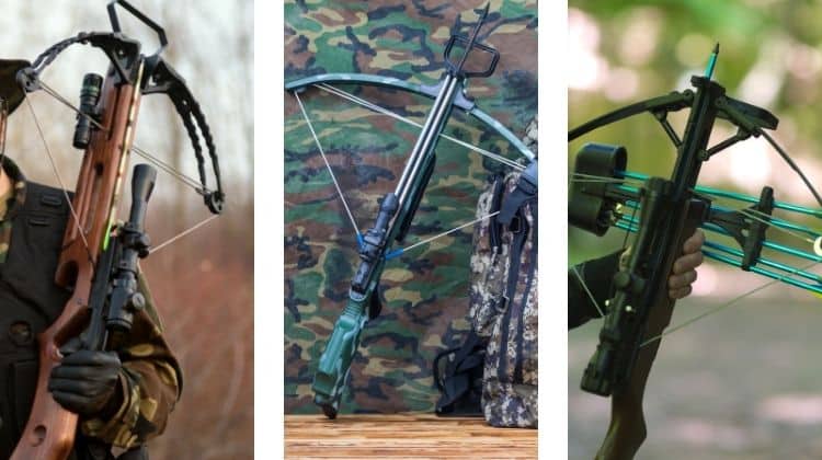 types of crossbow you can find under 200 dollars