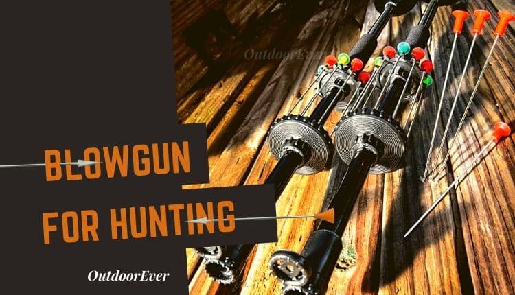 Best Blowgun For Hunting