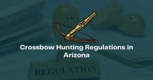 Arizona Crossbow Hunting Regulations