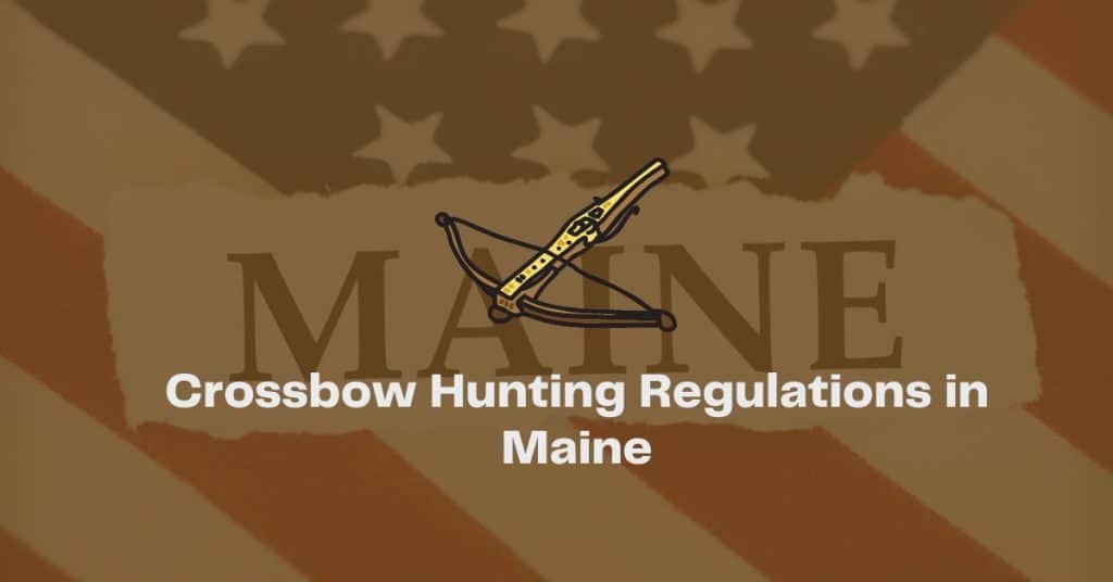 Crossbow Hunting Laws and Regulations In Maine