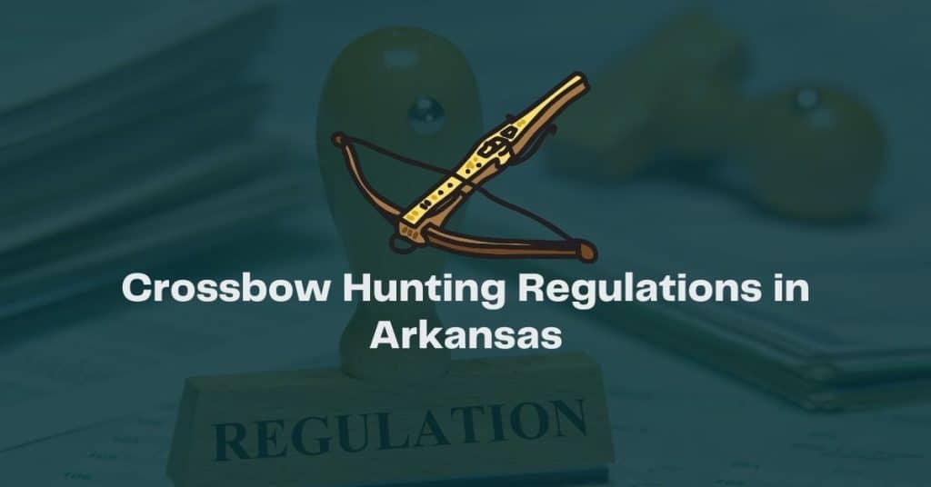 Crossbow Hunting Regulations in Arkansas