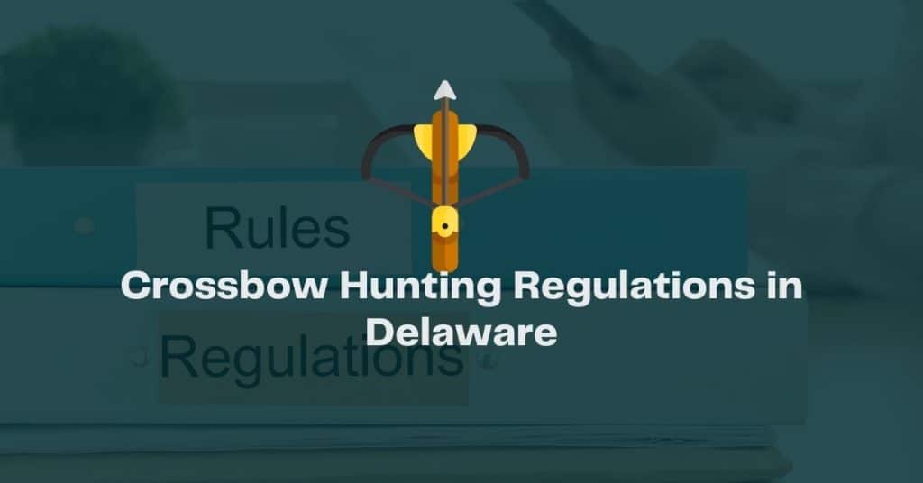 Crossbow Hunting Regulations in Delaware